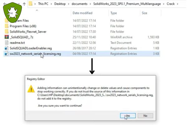 chay-sw2023-network-license-key